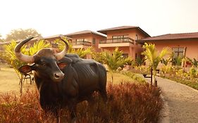 The Pench International